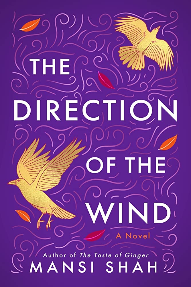 TSM Book Club Book #22: The Direction of the Wind by Mansi Shah